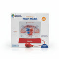 Pumping Heart Model