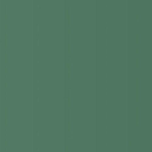 FOAM BOARD GREEN 20" X 30"