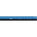 EASY READ RULER 12" PLASTIC