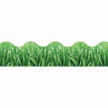 BORDER GRASS SCALLOPED