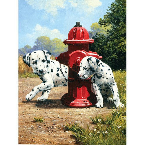 PAINTING BY NUMBERS PEEK-A-BOO 10 PC