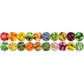 BORDER FRUIT/VEGGIE