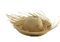 PAVA Joven/Adulto