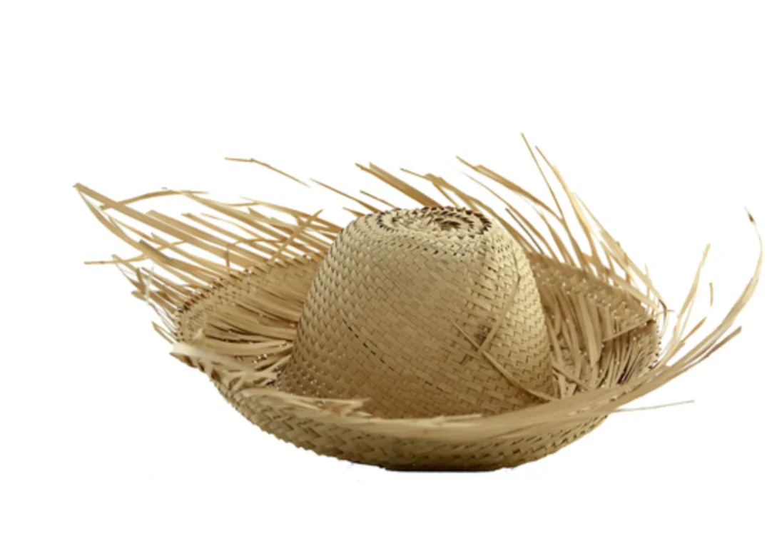 PAVA Joven/Adulto