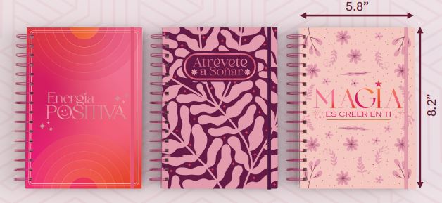 JOURNAL ASST SPANISH INSPIRATIONAL 256PG
