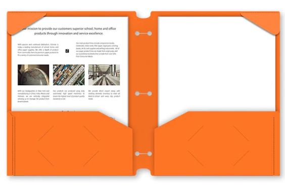 Twin Pocket Poly Portfolio With Hole Punch