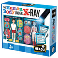 The Human Body under X-Ray