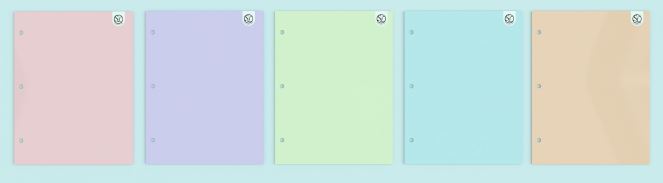 PASTEL PAPER PORTFOLIOS