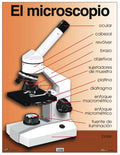 Cartel El Microscopio