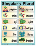 Cartel Singular y Plural