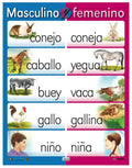 Cartel Masculino y Femenino