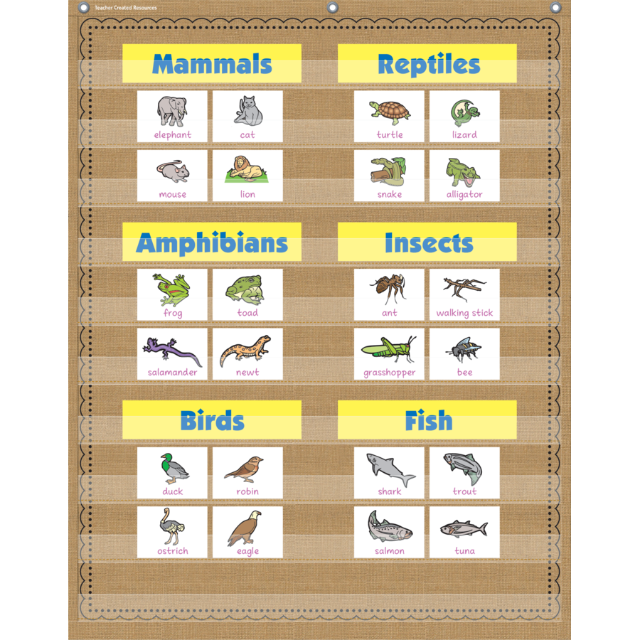 BURLAP 10 POCKET CHART
