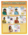 Cartel Cinco Sentidos
