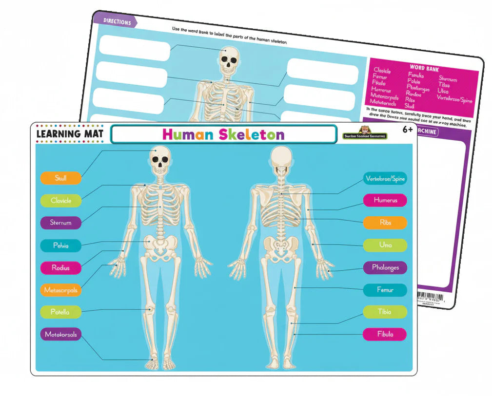 Human Skeleton Learning Mat