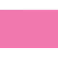 POSTER BOARD FLUORESCENT PINK CJ. 25