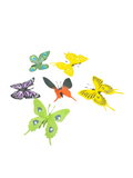 MINI BUTTERFLY