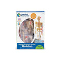 HUMAN SKELETON MODEL