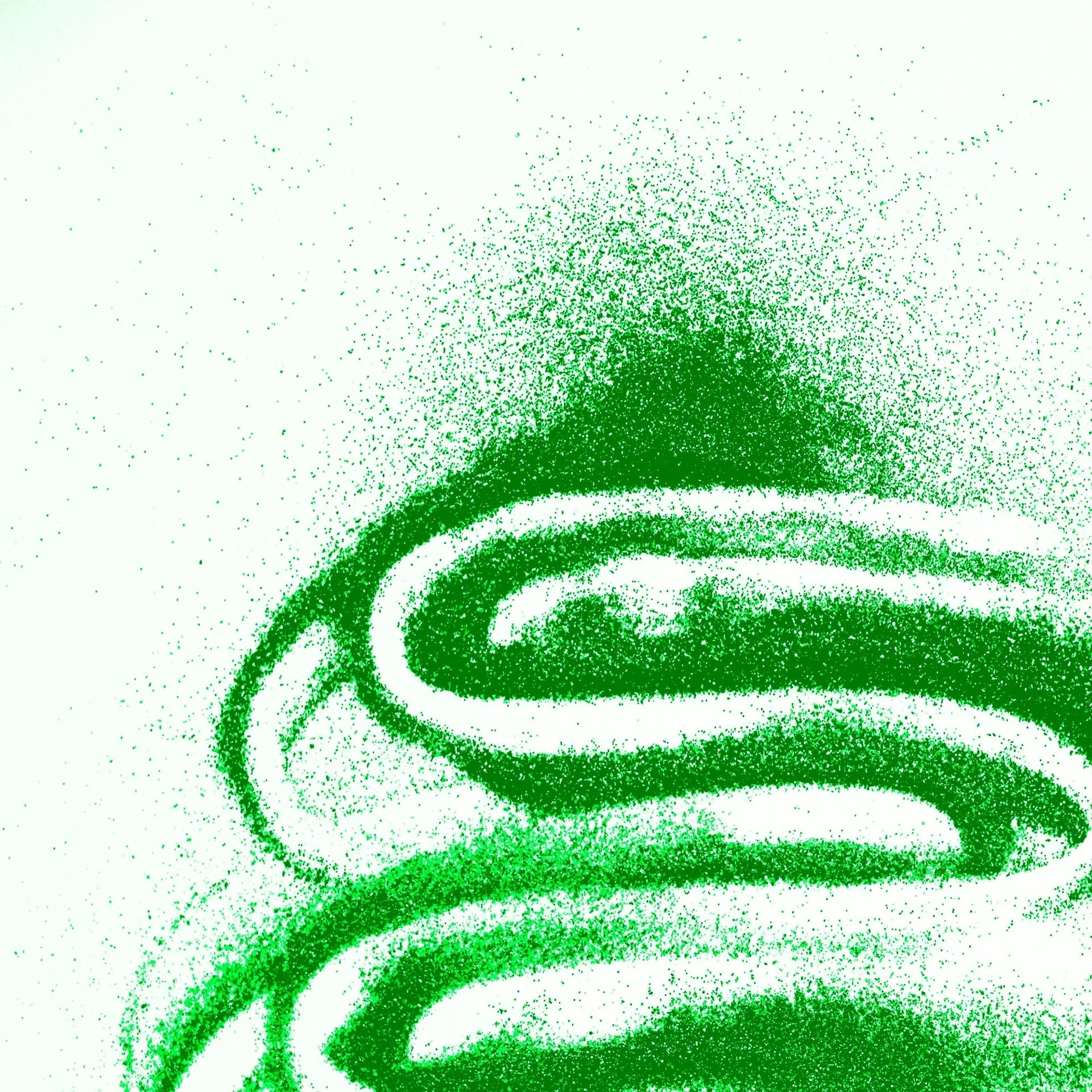 GLITTER SHAKER GREEN  | 1LB