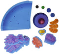 Giant Magnetic Animal Cell