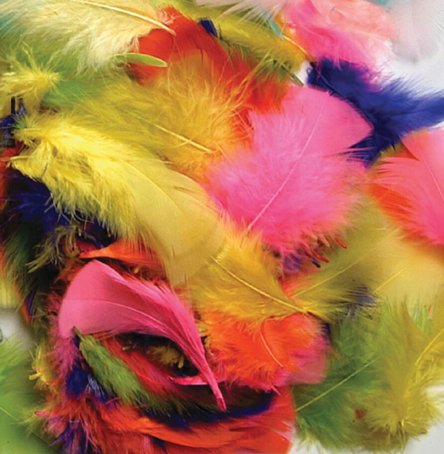 CREATIVITY STREET TURKEY PLUMAGE ASSORTED