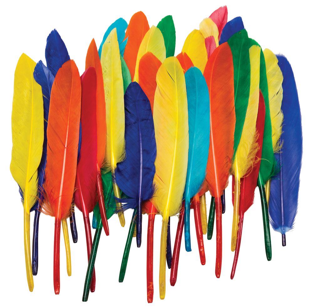 Creativity Street Duck Quills Assorted Colors 3" to 5" 14 grams