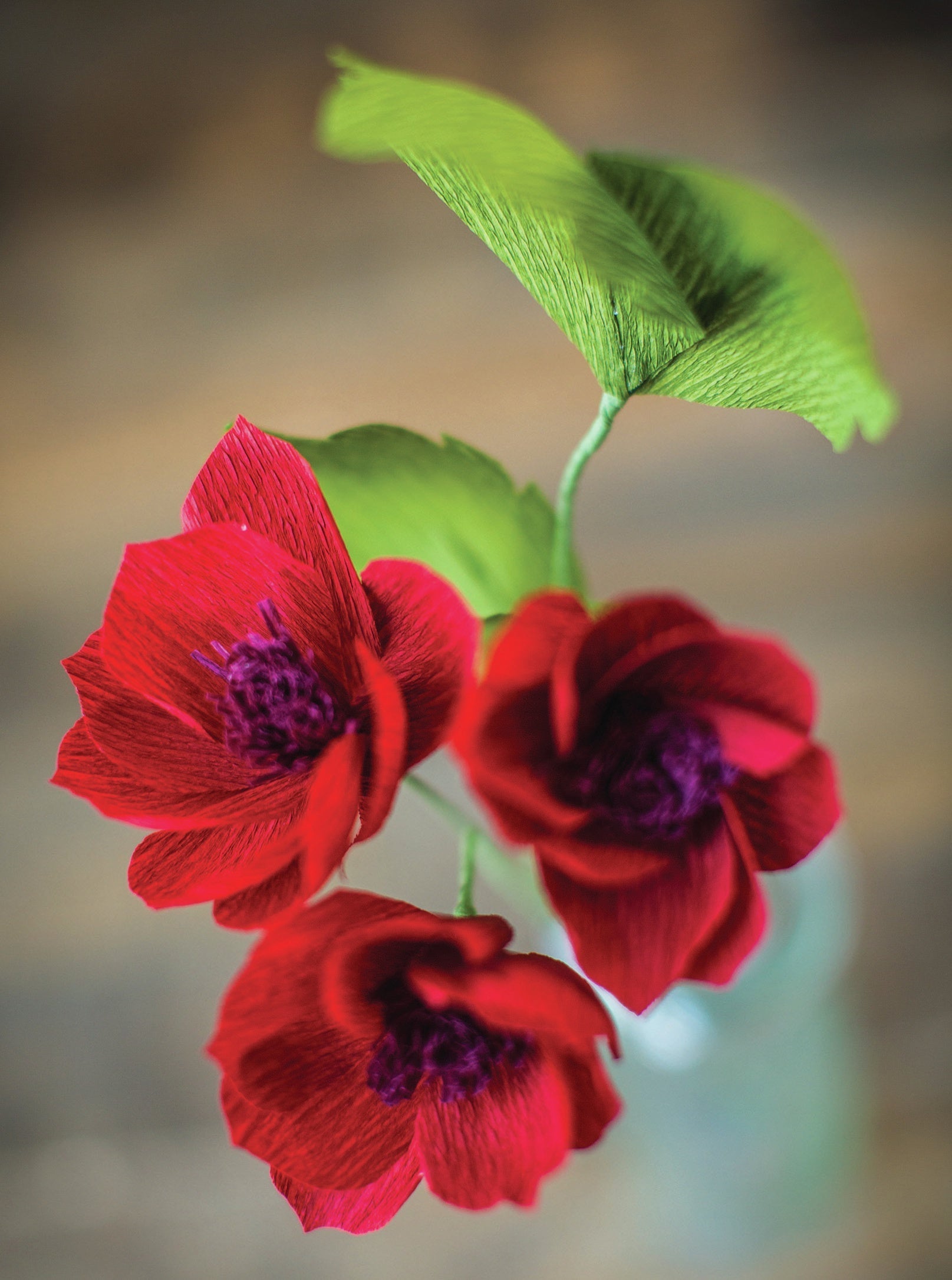 Lia Griffith Extra Fine Crepe Paper | Cranberry |  19.6"X78.7"