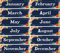 WILDFLOWERS MONTHLY HEADLINER
