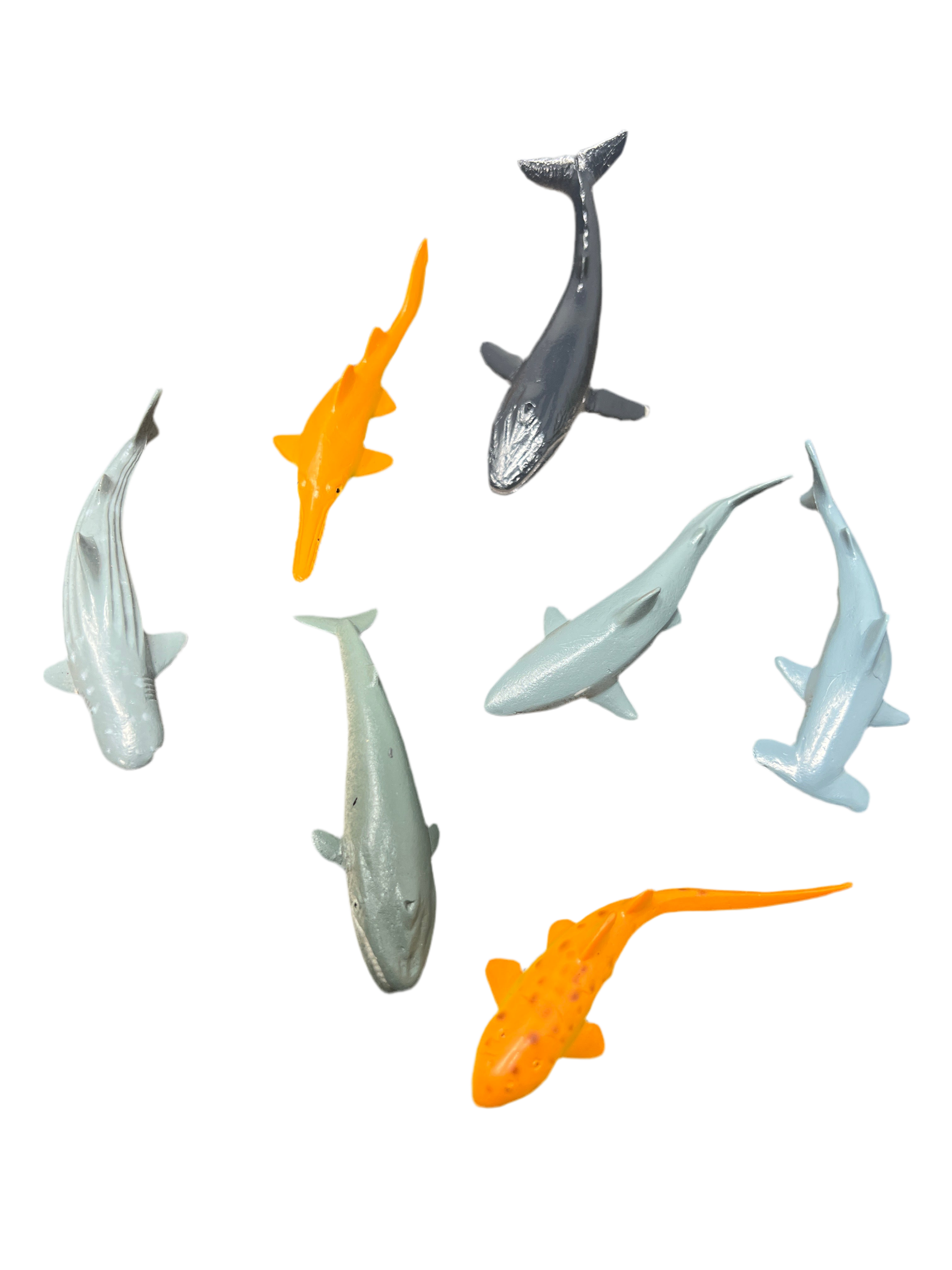 MINI SHARKS AND WHALES