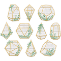 Eucalyptus Geometric Terrarium