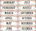 CONFETTI MONTHLY HEADLINERS
