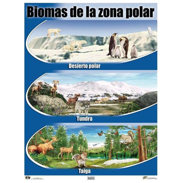 CARTEL BIOMAS DE LA ZONA POLAR