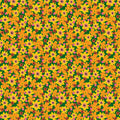 PATTERNED PAPER BLOOM BIGTIME SINGLE 12X12