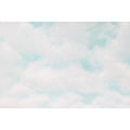 POSTER BOARD CLOUDS 22X28