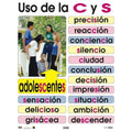 CARTEL USO DE LA C-S