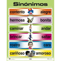 CARTEL SINÓNIMOS (PRIMARIO)