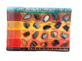 ROCKS AND MINERALS PLACEMAT 17.5''X12''