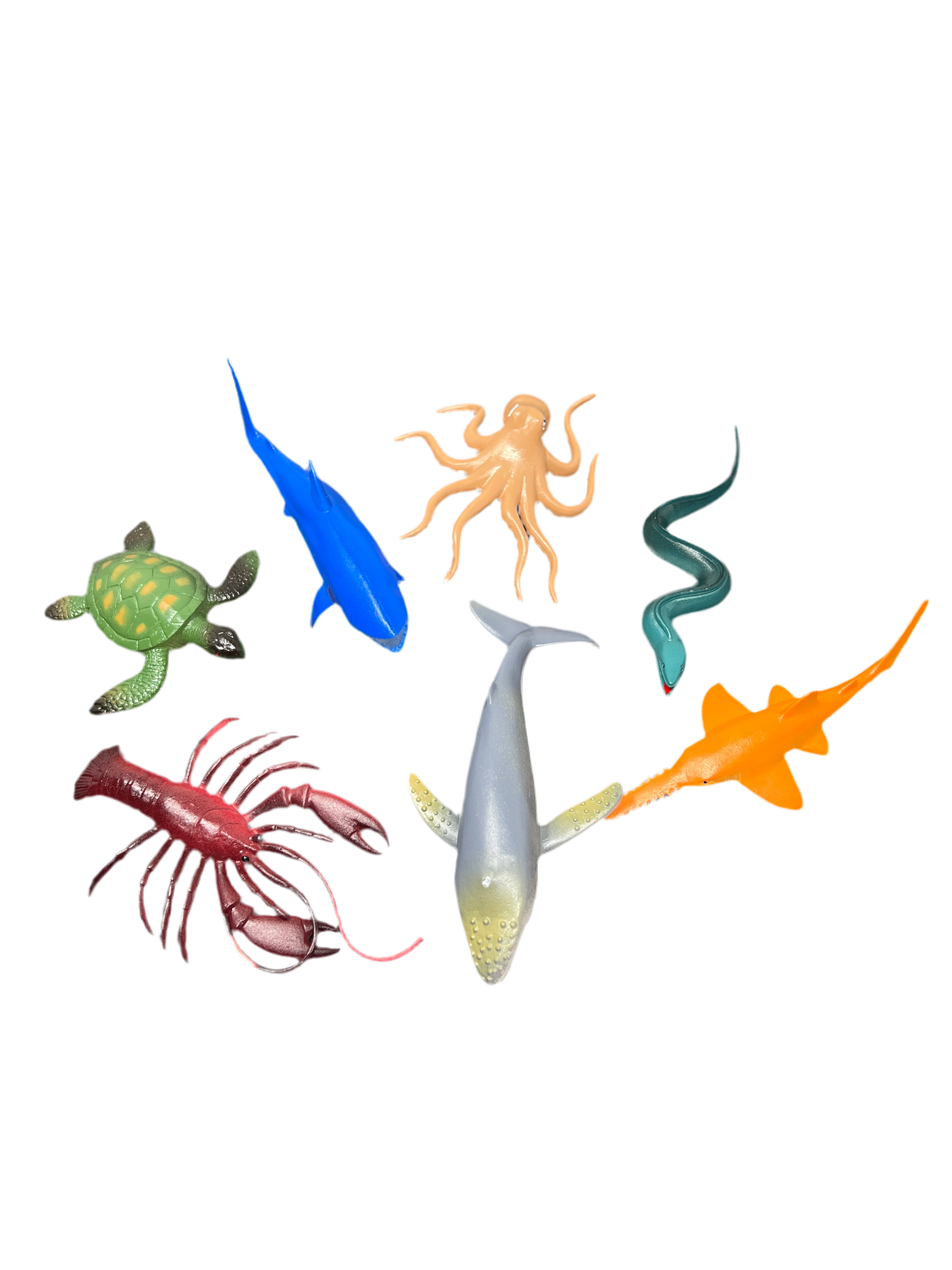Sea creatures