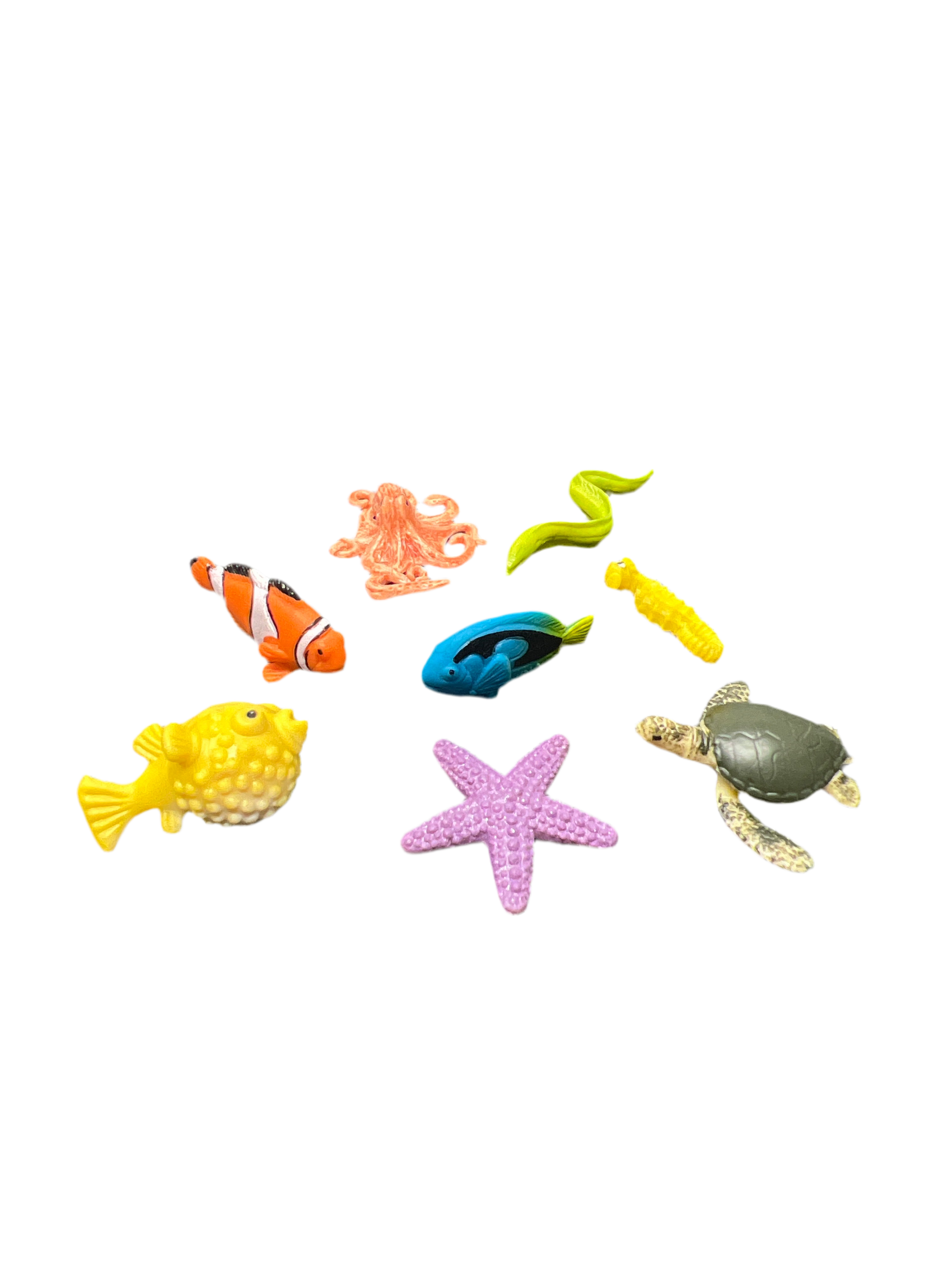 CORAL REEF FUN PACK 8PCS.