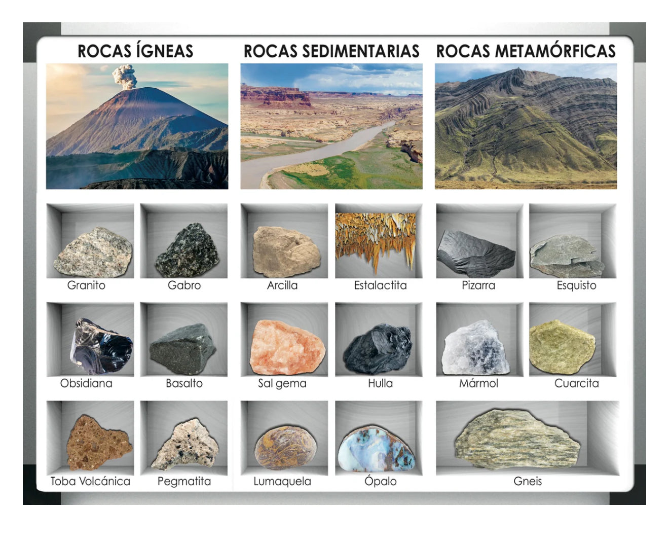 ANI ROCAS CARTEL #AC-C833