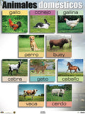 ANI ANIMALES DOMESTICOS CARTEL
