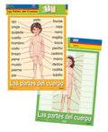 LAS PARTES DEL CUERPO CARTEL