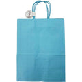 Craft Bag | Light Blue | 10x5.5x13IN | 2pc