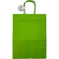 Craft Bag Large | Light Green | 10x5.5x13IN | 2pc