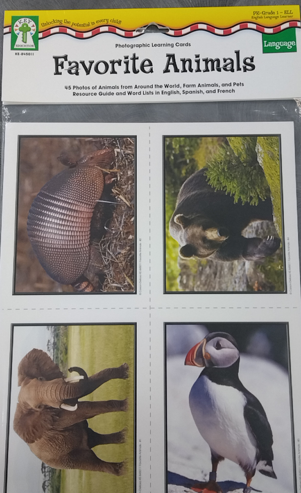 FAVORITE ANIMALS LEARNING CARDS 45 CARDS