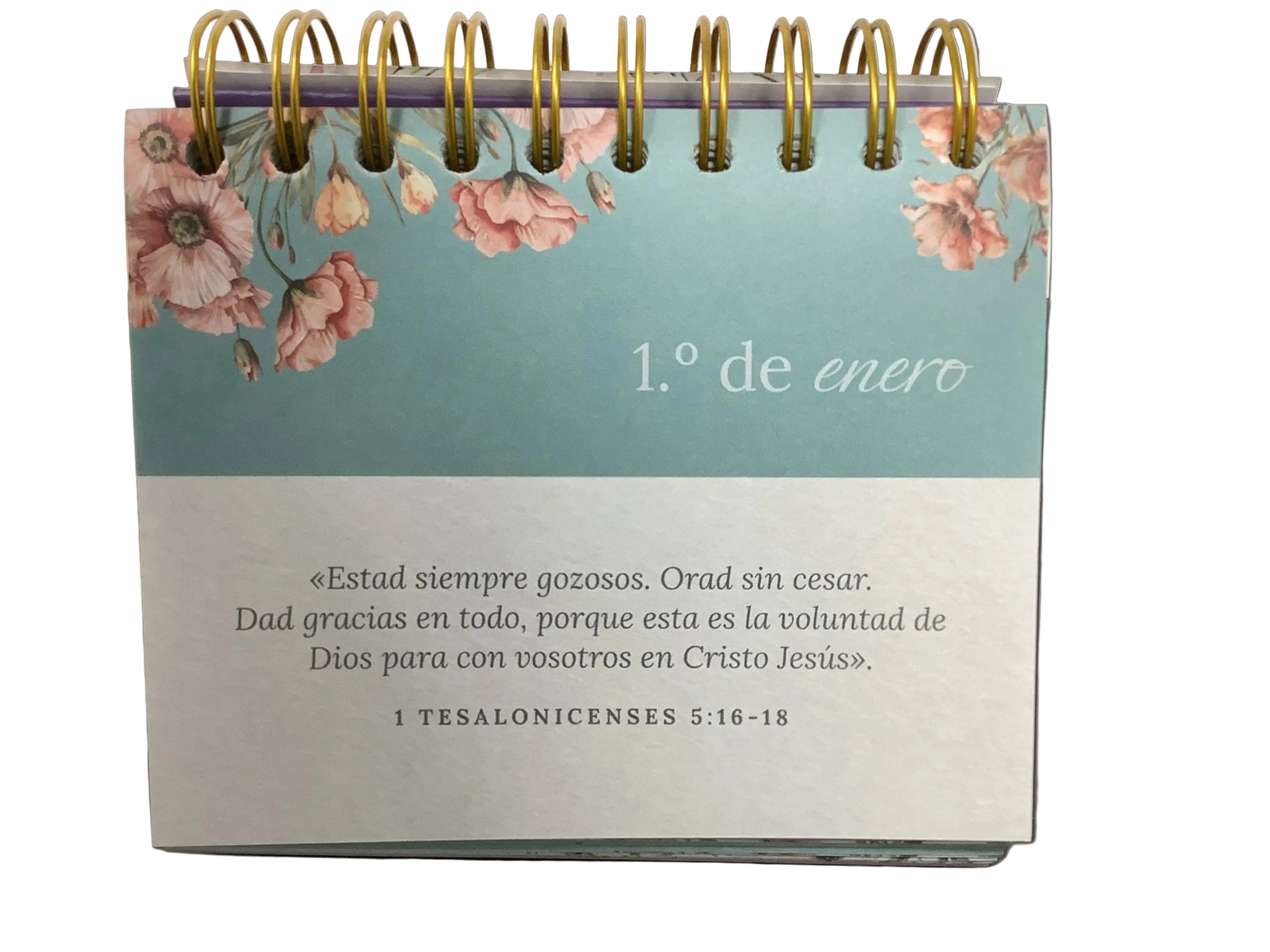Calendario Escritorio Argollado 2026 | Violeta