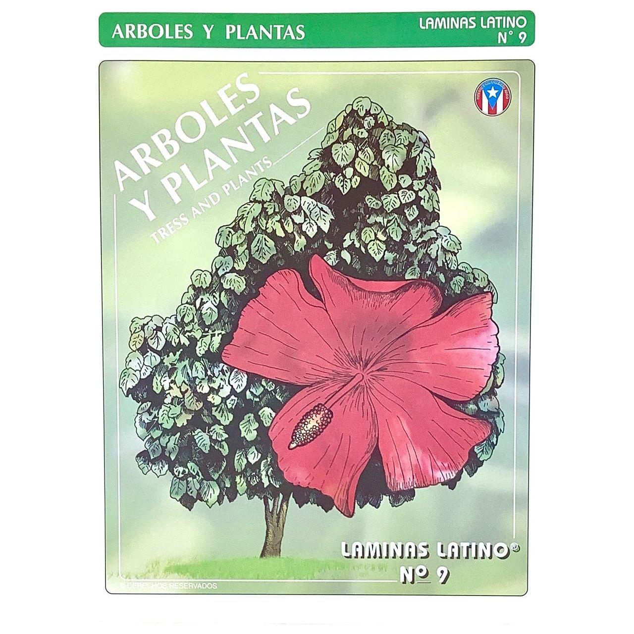 LAMINAS ARBOLES