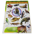CARTEL ANIMALES EXTINCION PR