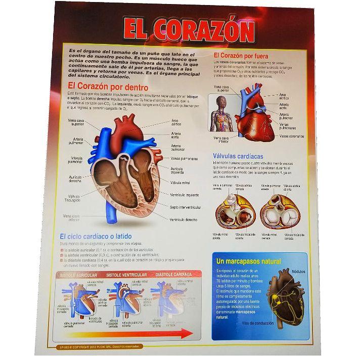 CARTEL EL CORAZON