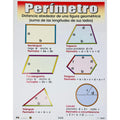 CARTEL PERIMETRO