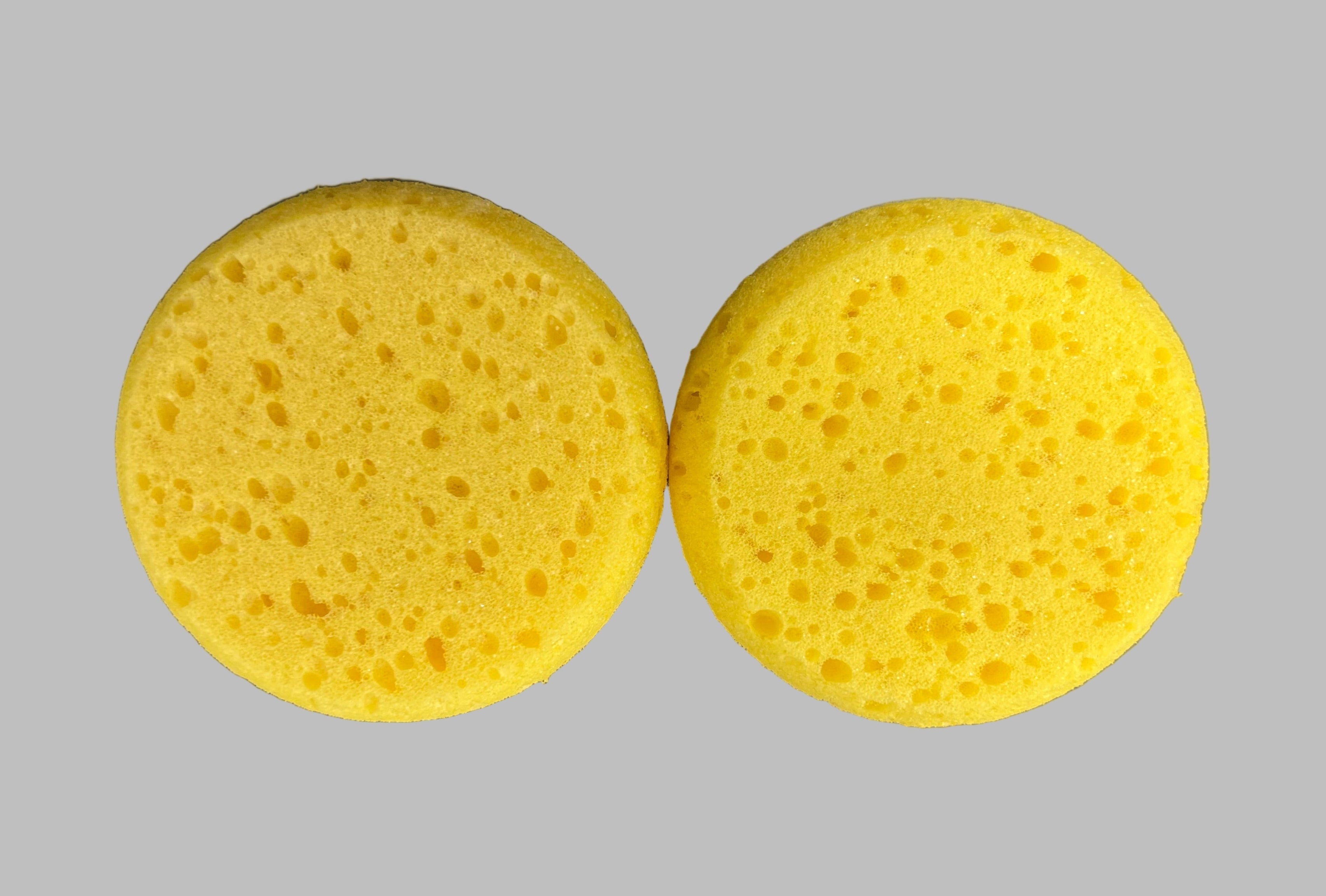 Art Sponge